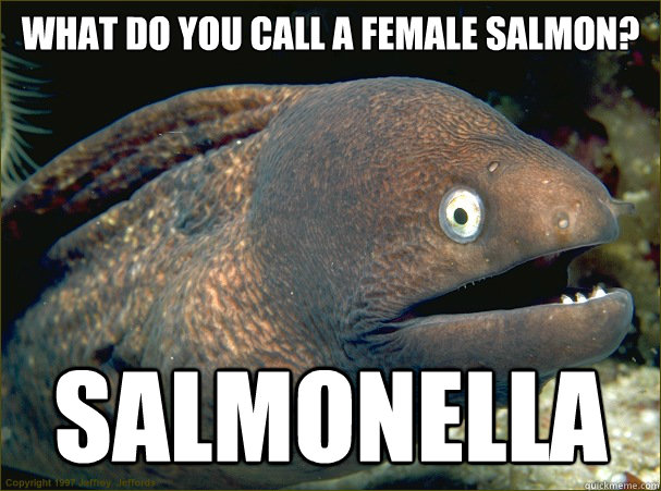 What do you call a female salmon? Salmonella  Bad Joke Eel