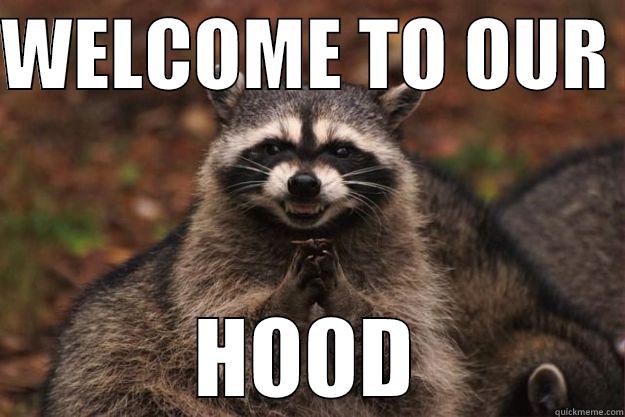 WELCOME TO OUR  HOOD Evil Plotting Raccoon