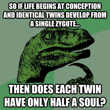 so if life begins at conception and identical twins develop from a single zygote... then does each twin have only half a soul? - so if life begins at conception and identical twins develop from a single zygote... then does each twin have only half a soul?  Philosorapter meets jack