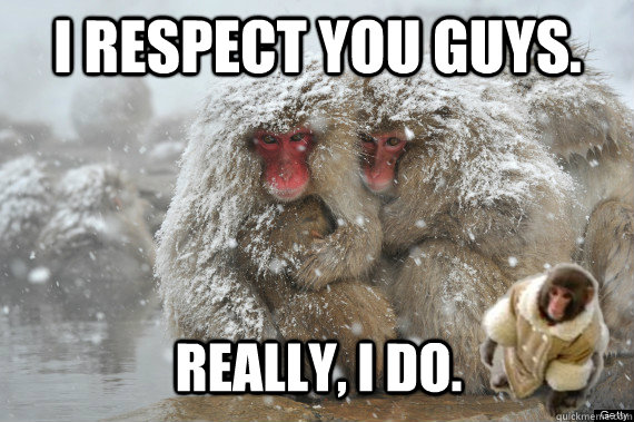 I respect you guys. Really, I do.  Ikea Monkey