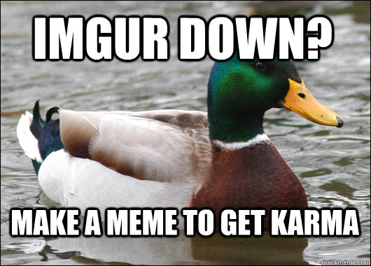 Imgur down? Make a meme to get karma  Actual Advice Mallard