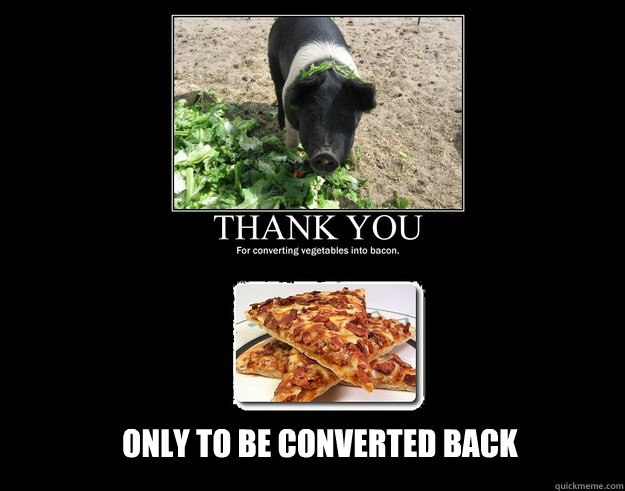 only to be converted back - only to be converted back  Misc