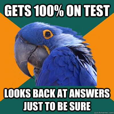 gets 100% on test looks back at answers just to be sure - gets 100% on test looks back at answers just to be sure  Paranoid Parrot