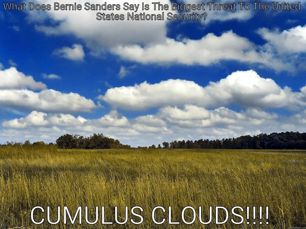 WHAT DOES BERNIE SANDERS SAY IS THE BIGGEST THREAT TO THE UNITED STATES NATIONAL SECURITY? CUMULUS CLOUDS!!!! Misc