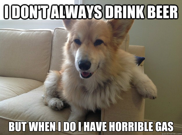 I don't always drink beer But when I do I have horrible gas - I don't always drink beer But when I do I have horrible gas  Bad Corgi
