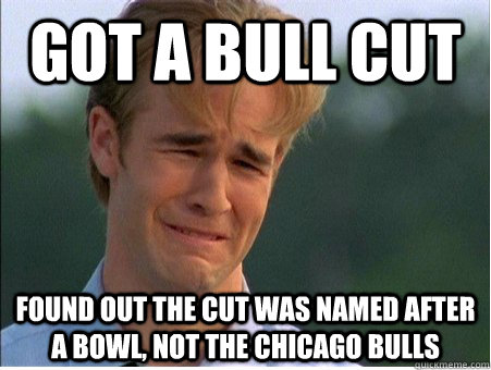 Got a Bull cut Found out the cut was named after a bowl, not the Chicago Bulls - Got a Bull cut Found out the cut was named after a bowl, not the Chicago Bulls  1990s Problems