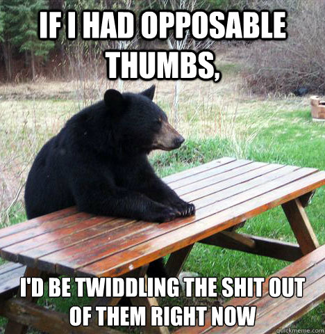 If i had opposable thumbs, I'd be twiddling the shit out of them right now - If i had opposable thumbs, I'd be twiddling the shit out of them right now  waiting bear