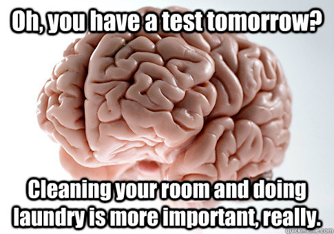 Oh, you have a test tomorrow? Cleaning your room and doing laundry is more important, really.    Scumbag Brain