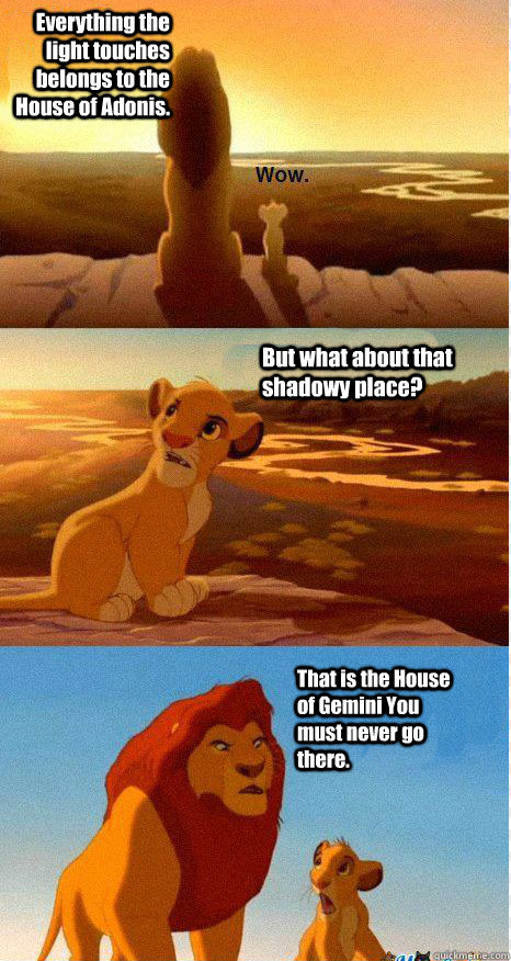 Everything the light touches  belongs to the House of Adonis. But what about that shadowy place? That is the House of Gemini You must never go there.  Mufasa and Simba