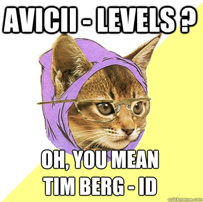 Avicii - Levels ? Oh, you mean 
Tim Berg - ID  Hipster Kitty