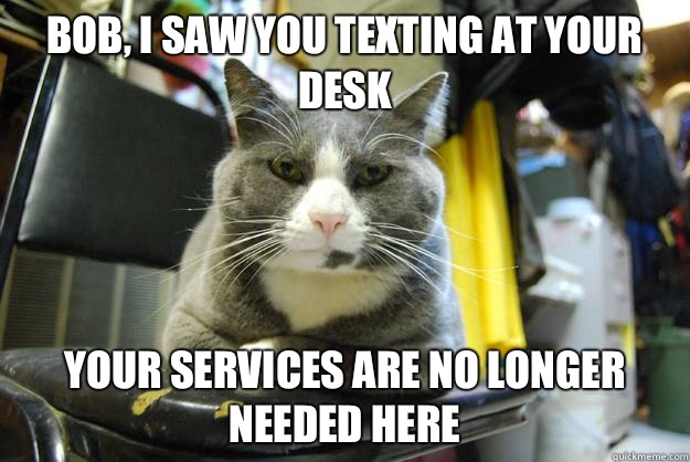 Bob, I saw you texting at your desk Your services are no longer needed here - Bob, I saw you texting at your desk Your services are no longer needed here  Serious Business Cat