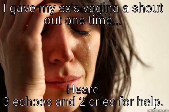I GAVE MY EX'S VAGINA A SHOUT OUT ONE TIME... HEARD 3 ECHOES AND 2 CRIES FOR HELP. First World Problems