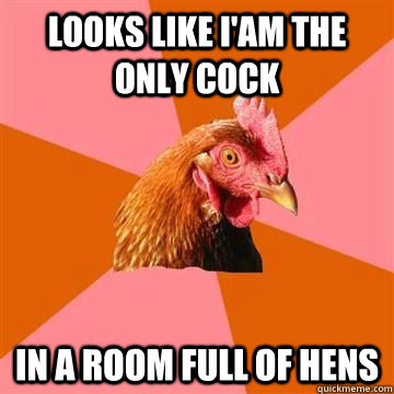 Looks like I'am the only cock in a room full of hens - Looks like I'am the only cock in a room full of hens  True story now anti joke chicken