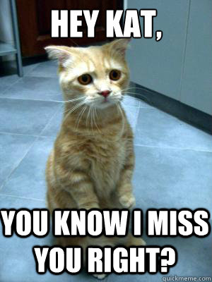 Hey Kat, You know I miss you right? - Hey Kat, You know I miss you right?  sad cat blog