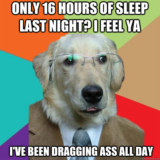 only 16 hours of sleep last night? I feel ya I've been dragging ass all day  Business Dog