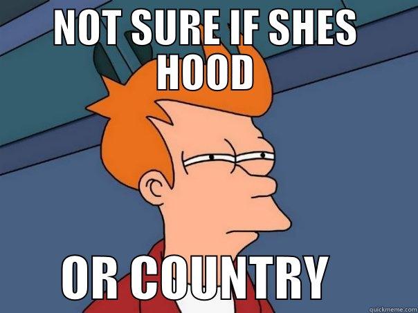 NOT SURE IF SHES HOOD        OR COUNTRY         Futurama Fry