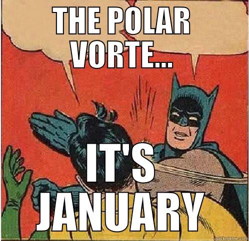 THE POLAR VORTE... IT'S JANUARY Batman Slapping Robin