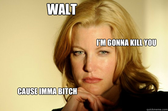 Walt I'm gonna kill you Cause Imma bitch - Walt I'm gonna kill you Cause Imma bitch  Skyler White