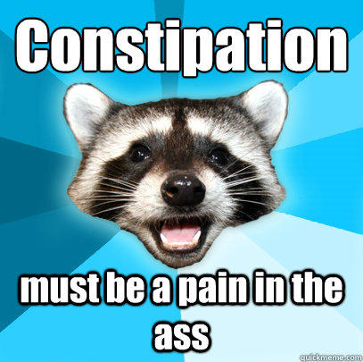 Constipation must be a pain in the ass - Constipation must be a pain in the ass  Lame Pun Coon