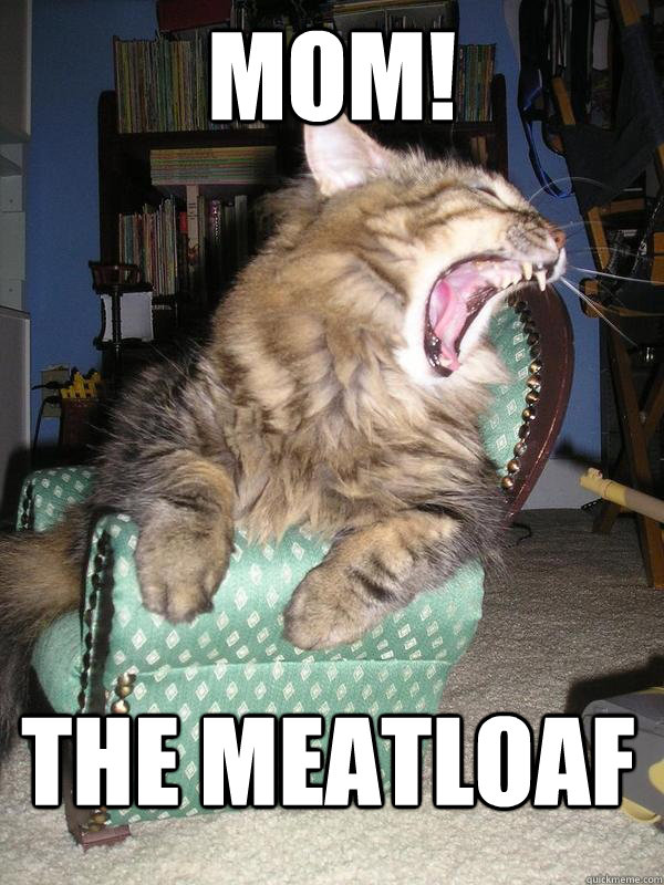 MOM! The meatloaf Misc quickmeme