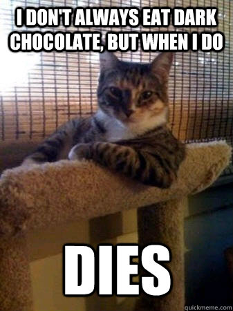 I don't always eat dark chocolate, but when I do DIEs  The Most Interesting Cat in the World