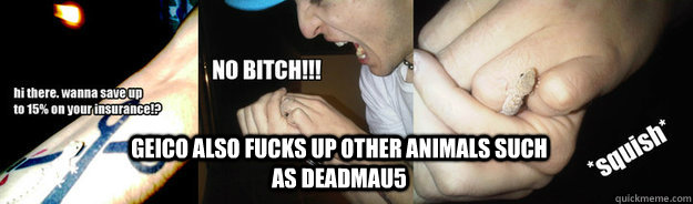 Geico also fucks up other animals such as Deadmau5  Deadmau5