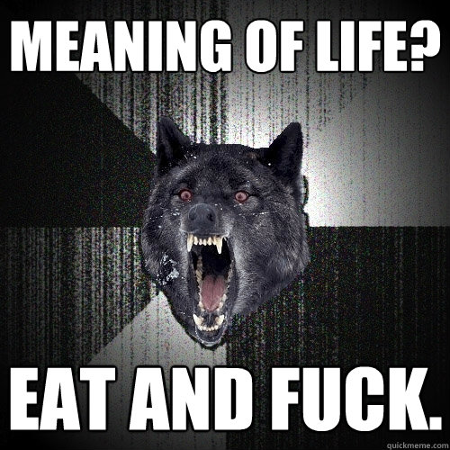 Meaning of life? Eat and fuck.  Insanity Wolf