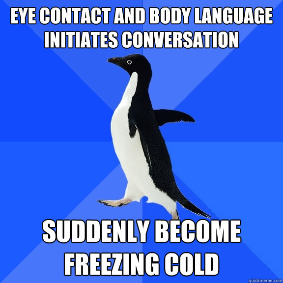 EYE CONTACT AND BODY LANGUAGE INITIATES CONVERSATION SUDDENLY BECOME FREEZING COLD  Socially Awkward Penguin
