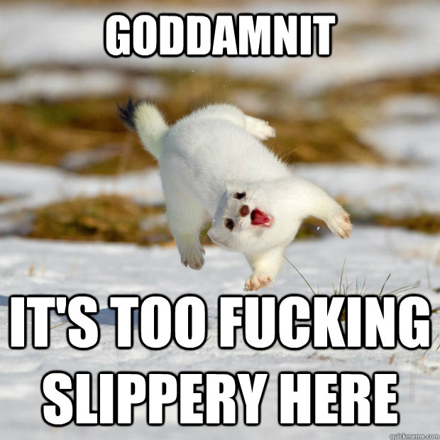 GODDAMNIT it's too fucking slippery here  happy ferret