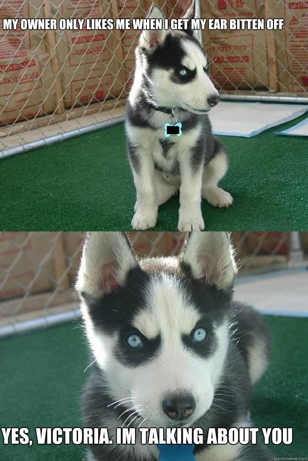 My owner only likes me when i get my ear bitten off yes, victoria. im talking about you  Insanity puppy