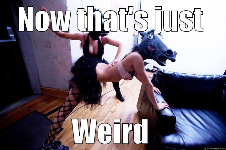 NOW THAT'S JUST WEIRD Misc