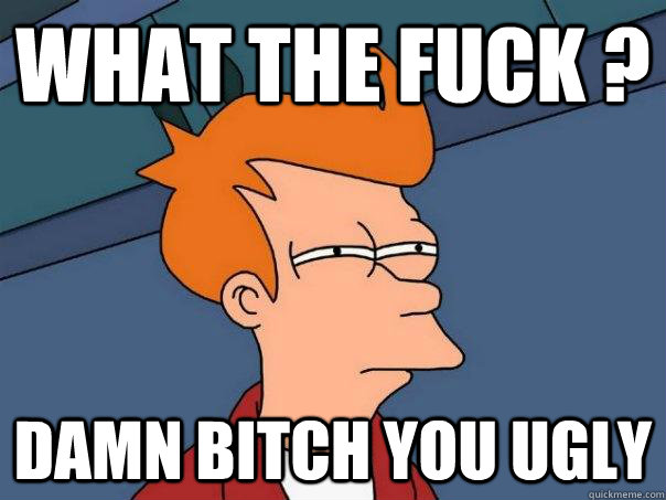 what the fuck ? dAMN BITCH YOU UGLY   Futurama Fry