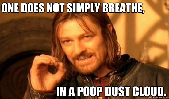 One Does not simply breathe, in a poop dust cloud.  Boromir