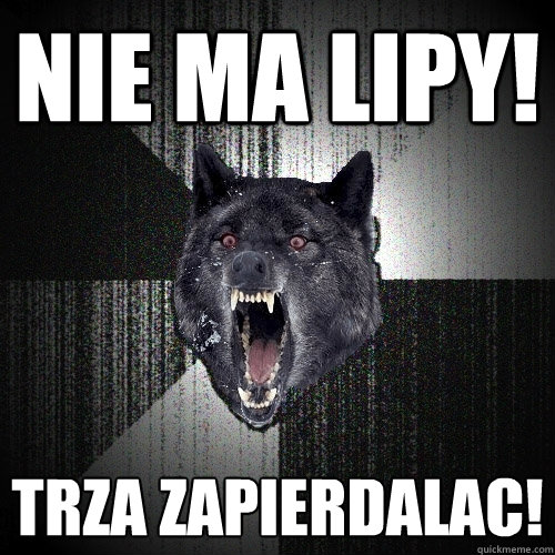 Nie ma lipy! Trza zapierdalac!  Insanity Wolf