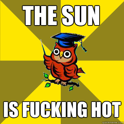 The sun is fucking hot  Observational Owl
