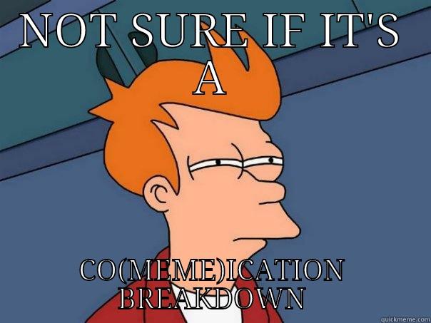 NOT SURE IF IT'S A CO(MEME)ICATION BREAKDOWN Futurama Fry