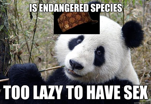 Is Endangered Species Too Lazy To Have Sex  