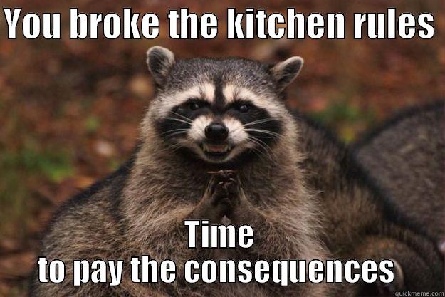 YOU BROKE THE KITCHEN RULES  TIME TO PAY THE CONSEQUENCES  Evil Plotting Raccoon
