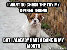 i want to chase the toy my owner threw but i already have a bone in my mouth  