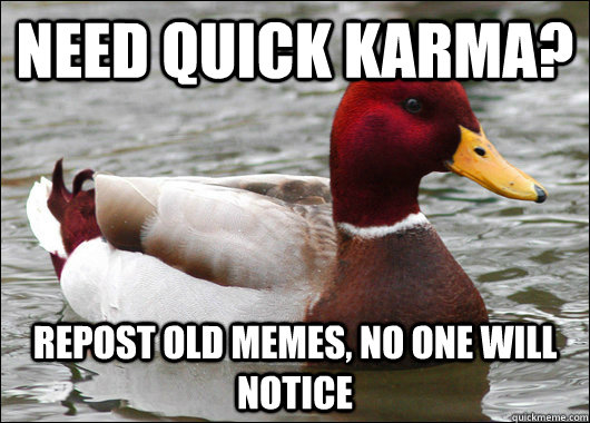 Need quick karma? repost old memes, no one will notice   Malicious Advice Mallard