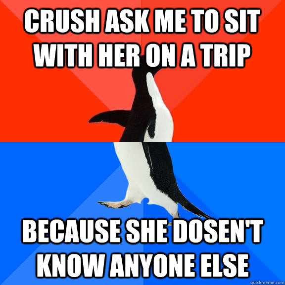 Crush ask me to sit with her on a trip because she dosen't know anyone else - Crush ask me to sit with her on a trip because she dosen't know anyone else  Socially Awesome Awkward Penguin