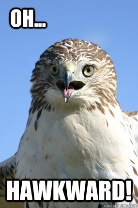 HAWKWARD! oH...  Hawkward