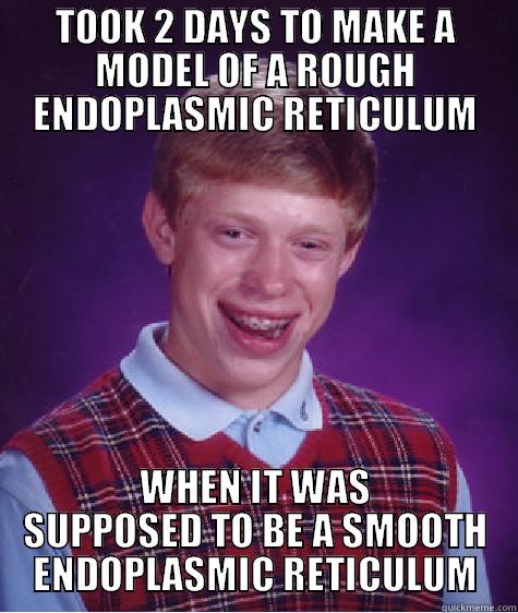 TOOK 2 DAYS TO MAKE A MODEL OF A ROUGH ENDOPLASMIC RETICULUM WHEN IT WAS SUPPOSED TO BE A SMOOTH ENDOPLASMIC RETICULUM Bad Luck Brian