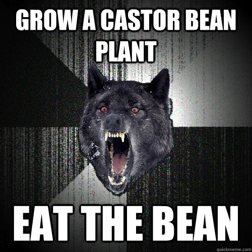 GROW A CASTOR BEAN PLANT EAT THE BEAN  Insanity Wolf
