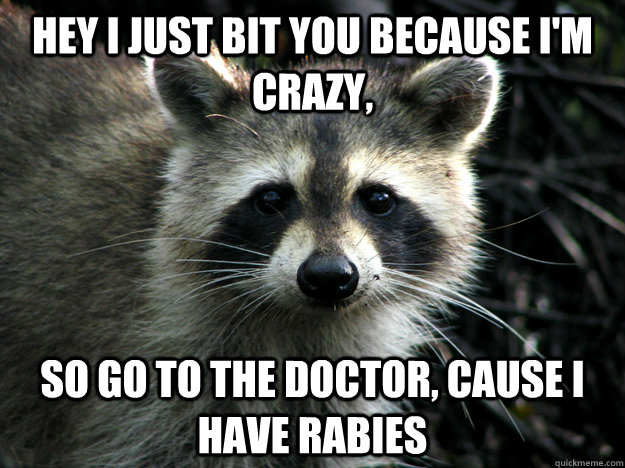 Hey I just bit you because i'm  crazy, so go to the doctor, cause i have rabies  