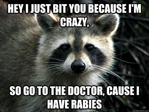 Hey I just bit you because i'm  crazy, so go to the doctor, cause i have rabies  call me maybe raccoon
