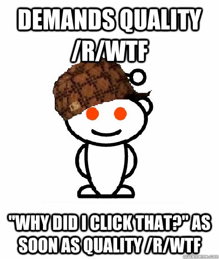 DEMANDS QUALITY /r/WTF 