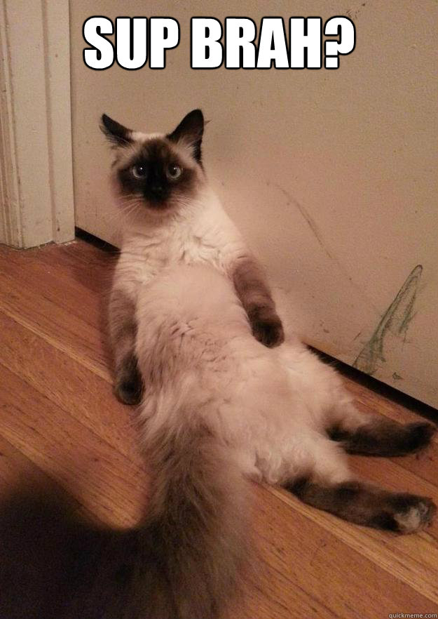 Sup brah?  - Sup brah?   Sup Brah