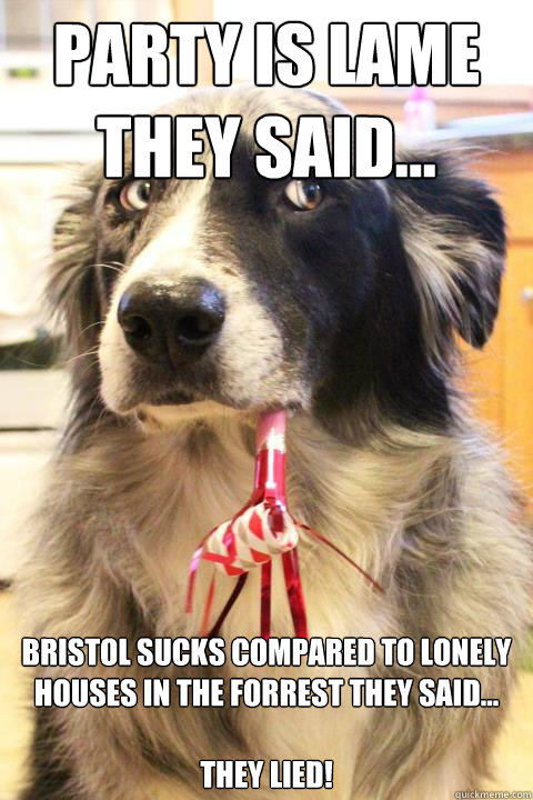 Party is lame they said... bristol sucks compared to lonely houses in the forrest they said...

they lied!  Skeptical Party Dog