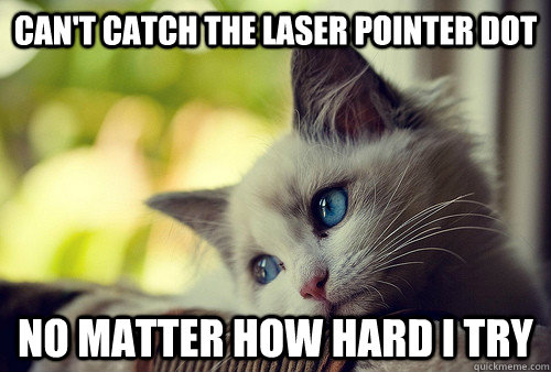 Can't catch the laser pointer dot no matter how hard i try  First World Problems Cat